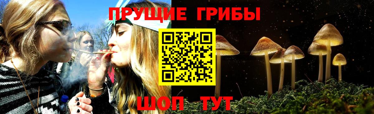 Галлюциногенные грибы GOLDEN TEACHER Ишим